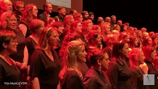 Skyfall - Vox Musica & VOXplus (Adele cover SATB Choir)