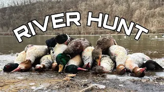 RIVER DUCK HUNT- MIXED BAG,  DUCK HUNTING 2022