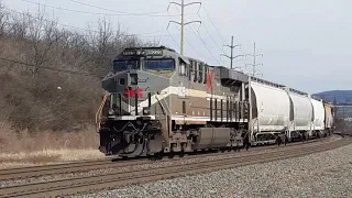 NS 8004 leads a mixed freight train in Wyomissing, PA (38G with UP and NS 8025)