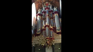 STILL D.R.E - playing organ in church