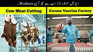 12 Most Fastest Workers In The World | دنیا کے سب سے تیز ترین ورکرز | Haider Tv