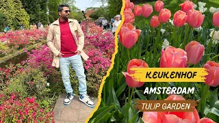 Amazing Tulip Garden Keukenhof In Amsterdam | Keukenhof Guide Tour