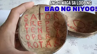 WALANG MATA NA BAO/NIYOG