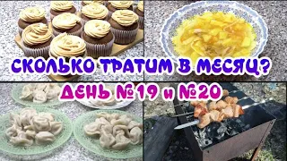 Сколько тратим на продукты в месяц? Дни 19 и 20/ Наш выходной на даче/Что случилось в домике ...