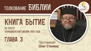 Книга Бытие. Глава 3. Протоиерей Олег Стеняев. Библия