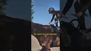 Voltigieren stehen im Trap auf dem Pferd üben