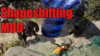 Shapeshifting MOD - Divinity Original Sin 2 Definitive Edition