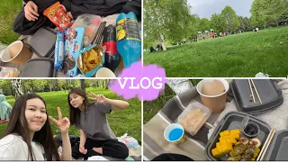VLOG || пикник с подругой / aesthetic picnic //