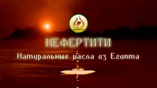 "Нефертити" - натуральные масла из Египта