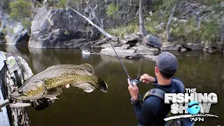 Murray Cod surface fishing In New England