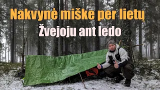 Nakvynė miške, žvejoju ant ledo