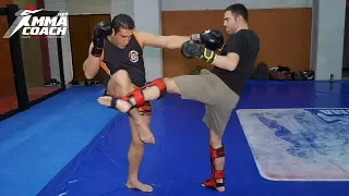 Middle Kick - How To Defend & Counter It