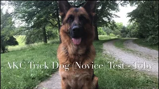 AKC Trick Dog (Novice) Submission - Toby