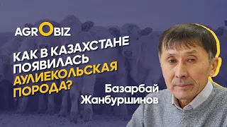 Аулиекольская порода КРС — как вырастить перспективный скот для суровых условий | ТОО Москалёвское