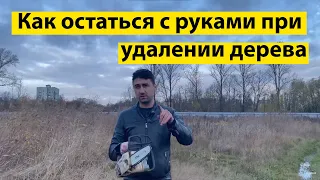 Как остаться с руками при удалении Деревьев.