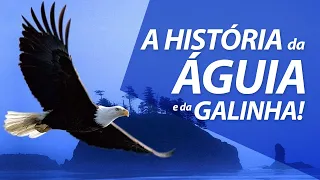 Ser Águia ou Galinha a Escolha é Sua!