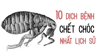 10 DỊCH BỆNH CHẾT CHÓC NHẤT LỊCH SỬ LOÀI NGƯỜI