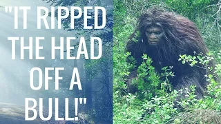 "The Biggest Creature I Ever Seen!" (Skunk Ape Encounter) - True Story!