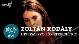 Zoltán Kodály - Intermezzo for string trio  | WDR Sinfonieorchester