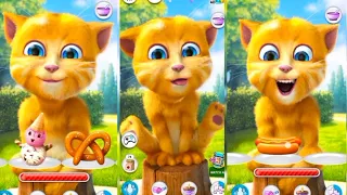 how to talking ginger new funny video, cat talking ginger 2 #tom #ginger #cartoon