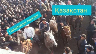 Қазақстан Ғалымжан палуан Өзбекстан да! 03.02.2022 Охангарон