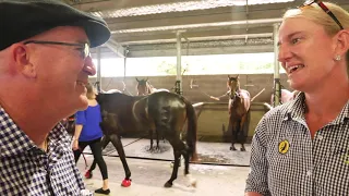 Racing Queensland - How it feels to own a share in a racehorse