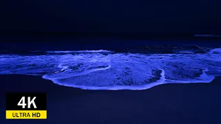 Within 2 Minutes You Will Fall Asleep Instantly With The Sound Of The Ocean At Night   4K Video