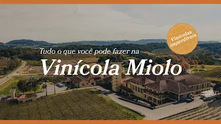 Tudo o que você pode fazer na Vinícola Miolo | Vinícolas Imperdíveis EP 4 | Vale dos Vinhedos
