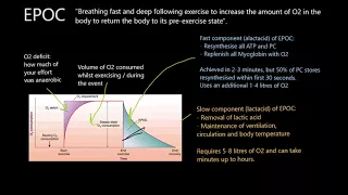 EPOC - recovery