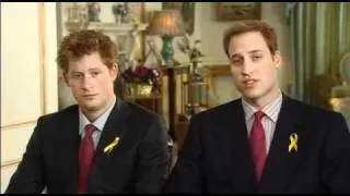 Prince William & Prince Harry address Sound Relief concerts 2009