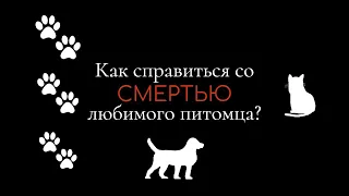 КАК СПРАВИТЬСЯ СО СМЕРТЬЮ ПИТОМЦА? ❘ ИСТОРИЯ МОЕЙ КОШКИ, СОВЕТЫ КАК ПЕРЕЖИТЬ СМЕРТЬ🐈