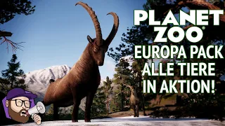 🐯 Europa Pack - Die Tiere des DLC inkl. Tierbabys  - Planet Zoo Update #52