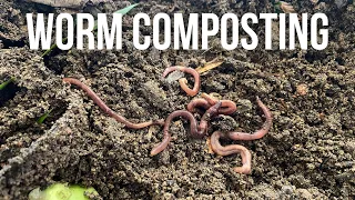 How To Make A Small, Simple Worm Compost Bin