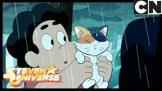 Steven Saves Some Kittens | Steven Universe | Cartoon Network