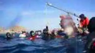 CNF New world record -83m by Herbert Nitsch in Dahab