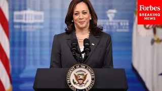 Vice President Kamala Harris: What Inspired Me To Be A Lawyer