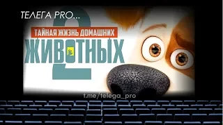 Телега PRO... Тайная жизнь домашних животных 2 - Быстрый обзор фильма (мнение о фильме)