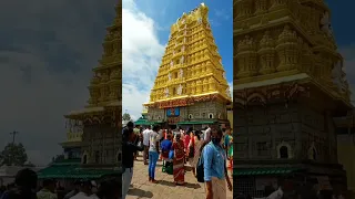 Sri Chamundeshwari temple in Mysore Karnataka..🛕#karnataka #temple #mysore #southindian