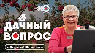 Дачный вопрос • 07.07.2021 // Тамара Александрова / Ведущая: Людмила Шидловская