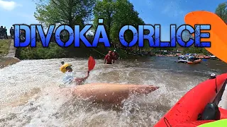 DIVOKÁ ORLICE 2024 - CAM360