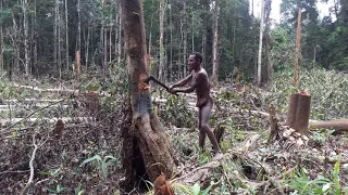 Племена Короваи. Где-то в Новой Гвинее. (Korowai tribes. Somewhere in New Guinea).