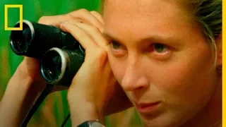 Trailer Oficial: JANE. El documental sobre Jane Goodall | National Geographic en Español