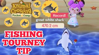 FISHING TOURNEY TIP | Animal Crossing Pocket Camp