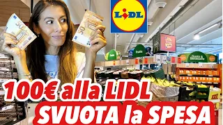 SPENDO 100€ ALLA LIDL: CHE HO PRESO??? SVUOTA LA SPESA