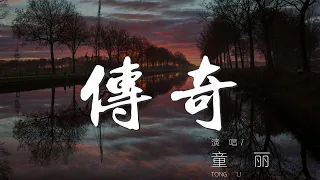 傳奇 - 童麗『只是因爲在人羣中』【動態歌詞Lyrics】