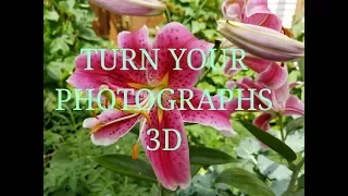 Turn a photograph into a stunning 3D image with Paper Tole