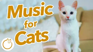 SUPER Long Cat Music- Relieve anxiety & aggression IMMEDIATELY