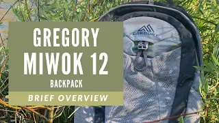 Gregory Miwok 12L Backpack   Overview