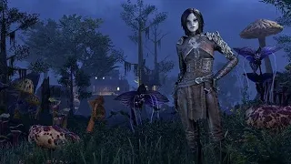 The Elder Scrolls Online (Meet my favorite assassin Naryu)