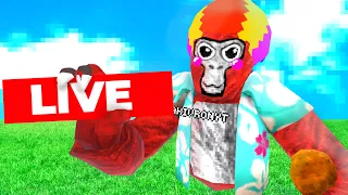 Gorilla tag live🔴Playing with viewers!🔴Tag Minigames and more💌Road to 19k🔴